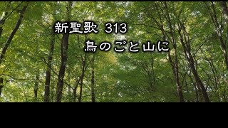 【 耳で読む聖書 】新聖歌 313 鳥のごと山に  歌詞付 [upl. by Adnwahsat974]