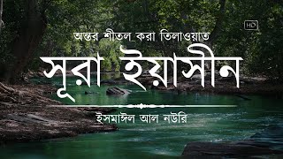 অন্তর শীতল করা সূরা ইয়াসিন এর তিলাওয়াত ┇ Surah Yasin Recited by Ismail An Nouri ┇ An Nafee [upl. by Firman]