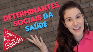 Determinantes Sociais da Saúde [upl. by Arraek]