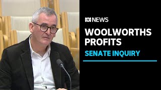 Woolworths CEO Brad Banducci grilled in Senate inquiry into price gouging  ABC News [upl. by Elwood]