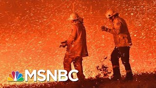 Devastating Wildfires Continue To Ravage Australia  The 11th Hour  MSNBC [upl. by Eliam]