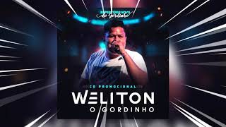 WELITON O GORDINHO  FAKE NEWS  CD PROMOCIONAL MARÇO 2K19 [upl. by Tal]