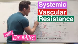 Systemic Vascular Resistance Total Peripheral Resistance  Cardiology [upl. by Grayce]