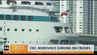 Norovirus outbreaks surging on cruise ships [upl. by Ahsiekal808]