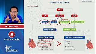 INSUFICIENCIA CARDÍACA CONGESTIVA Repaso ICC [upl. by Salvucci]