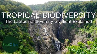 Tropical Biodiversity The Latitudinal Diversity Gradient Explained  EcolClips [upl. by Adyeren468]