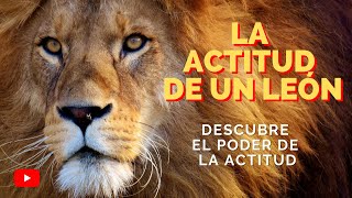 🔥 Videos de Motivacion  EL PODER DE LA ACTITUD  video de motivacion a nivel 100 Inspiracion [upl. by Refennej112]