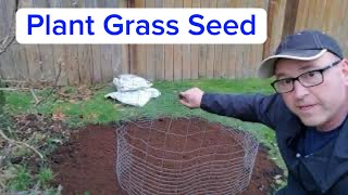 How to Plant Grass Seed [upl. by Borer487]