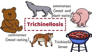 Trichinosis  Causes Symptoms Diagnosis Prevention [upl. by Musa]