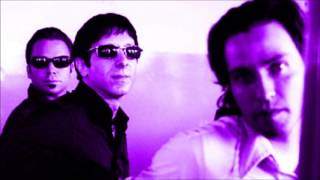 Mercury Rev  Planet Caravan Peel Session [upl. by Caiaphas]