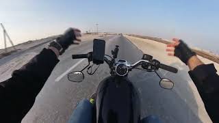 Quick Desert Ride  Sportster XL1200C  A Camel Encounter [upl. by Dichy]