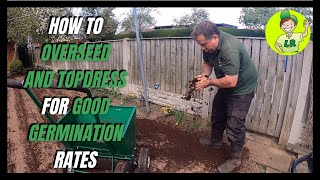 How to OVERSEED and TOPDRESS your lawn for GOOD GERMINATION rates PART 5 of my lawn renovation [upl. by Lepp]