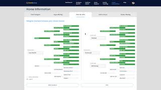 Side By Side feature within Horse Information [upl. by Lockhart]