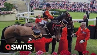 Horse pulling Princess Beatrices carriage into Royal Ascot gets spooked threatening to bolt  SWNS [upl. by Kidd470]