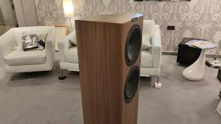 Fyne Audio F703 SP Unboxing and setup at Martins HiFi [upl. by Oflodor]