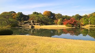 JG 4K 東京 六義園 RikugienTokyo [upl. by Odericus]