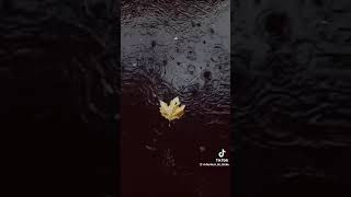 Yagan yagisi beleyagis yuyurgun qurudur🌧 subscribe keşfet azerbaycan nature bakiramizrövşən [upl. by Baggs]