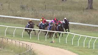 Walcha 2024 02 10 Race 1 [upl. by Sanoj]