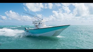 All New 2018 Shallow Sport 32 X3 [upl. by Lauder]