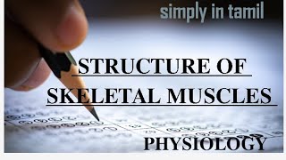 Structure of skeletal muscles  Explanation in Tamil  Sukumiii [upl. by Eckardt130]