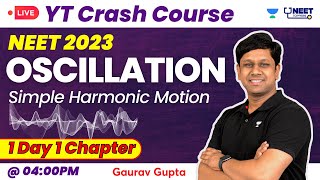 Phoenix 20 Physics Most Important Video for NEET 2025  Unacademy NEET Toppers  NEET [upl. by Leal]