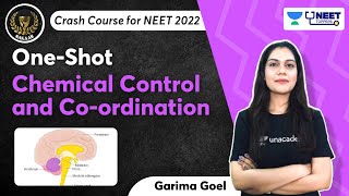 Phoenix 20 Biology Most Important Video for NEET 2025  Unacademy NEET Toppers  Udaan [upl. by Ynaffyt]