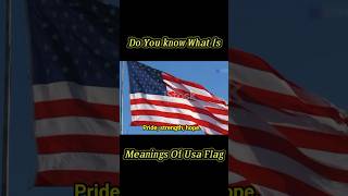 Do you Know What Is the Meaning Of Usa Flagshortvideo usafact usahistory usatoday music [upl. by Leahicm406]