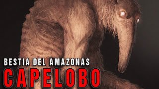 El Devorador de cerebros del Amazonas  Criptozoologia [upl. by Anagrom]