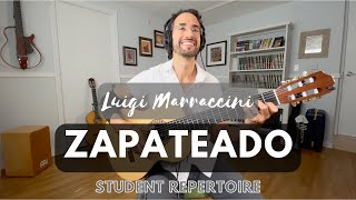 The Flamenco Zapateado EXPLAINED Plus performance [upl. by Nylrats]