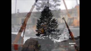 ✨ 100 jährige und 25 Meter hohe NordmannTanne aus Freital für 590 Striezelmarkt aufgestellt 🎄✨ [upl. by Suivatram]