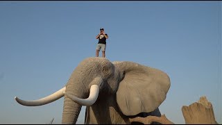 MY NEW PET ELEPHANT IN DUBAI [upl. by Narf]