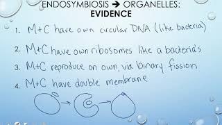 Protist Evolution  Classification Protists 23 [upl. by Ricoriki847]