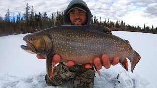 EPIC Day Ice Fishing for 3 Pound BROOK TROUT CATCH amp COOK [upl. by Svend]