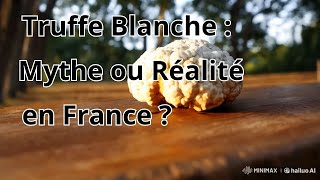 La Truffe Blanche en France  Les Secrets de la Chasse au Diamant de la Gastronomie [upl. by Enomal439]