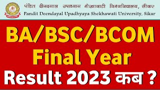 UG  BABSCBCOM  Final Result 2023 कब   PDUSU Updates [upl. by Middleton]