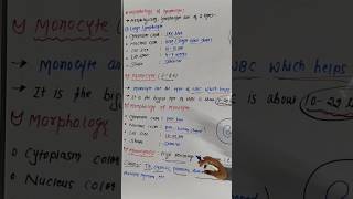 High⬆️ percentage of Monocyte Monocytosismedicaleducation ytshorts [upl. by Hardden]