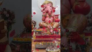 Om gangapatye namo namah jay ganesh ganeshji ganpati ganpatibappamorya shorts ytshort stat [upl. by Cathie]