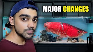 We Built the PERFECT Arowana Tank  Watch My Aquarium Transformation [upl. by Lavelle]