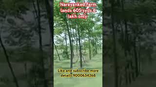 narayanked farm lands neemsboro oxyridge sunshine openplots dtcpplots [upl. by Eirallam]