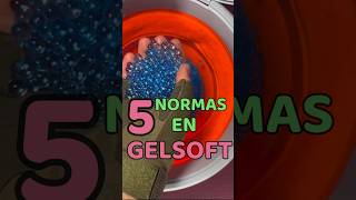 5 NORMAS De El GELSOFT 1 [upl. by Llyrrad394]