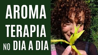 6 Óleos Essenciais que podem MUDAR SUA VIDA  Aromaterapia no Cotidiano  Karina Viega [upl. by Nilyarg]