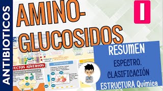 AMINOGLUCOSIDOS RESUMEN CLASIFICACIÓN Mecanismo de Acción ESPECTRO Antibacteriano  PARTE 1 [upl. by Neelie295]