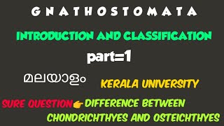 BSC ZOOLOGYMODULE2GNATHOSTOMATAPISCESINTRODUCTION AND CLASSIFICATIONPART1kerala university [upl. by Thesda247]