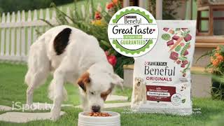 Purina Beneful Incredibites Spanish TV Spot Andrea Balsa [upl. by Leruj]