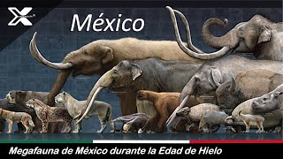 México en la Edad de Hielo  Cuna de Grandes Bestias de la Megafauna [upl. by Marget]