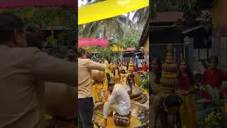 Madhu Gowda Marriage 😍❤️  Haldi Ceremony 💛🤍 nidhu madhugowda wedding nikhilnisha [upl. by Lrub]