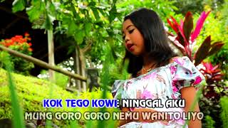 Ayu Anadita  Opo Wis Ora Kelingan  Dangdut Official Music Video [upl. by Alethia331]