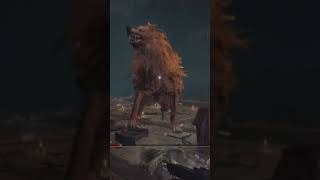 RED WOLF OF RADAGON eldenring eldenringgameplay gaming fromsoftware gameplay [upl. by Nellie583]