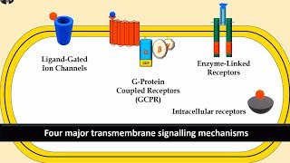 Receptors and Second Messenger system Gprotein Enzyme linked and Ligand gated ion channels [upl. by Pall]