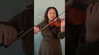 Toss A Coin To Your Witcher Violin Cover shorts [upl. by Ragland]